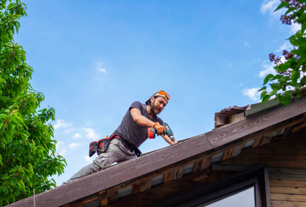 Best Green or Eco-Friendly Roofing Solutions  in Safety Harbor, FL